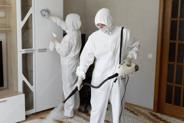 24/7 Emergency Odor Removal experts in Kingston, AR
